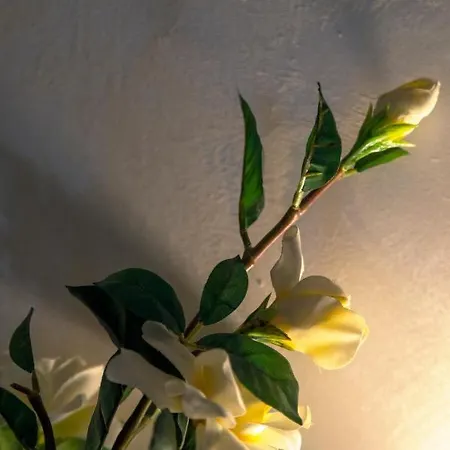 Ca’ Anna In Biennale Apartment