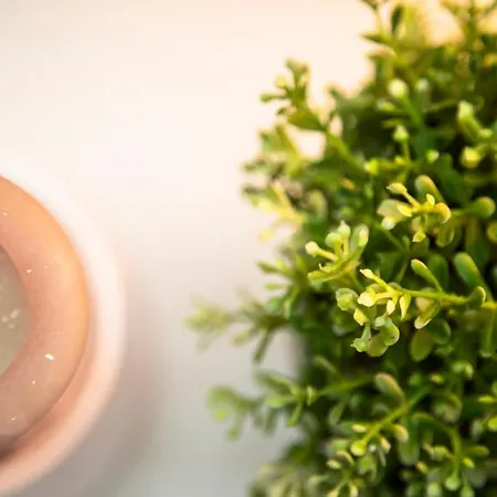 Ca' Anna In Biennale Velence